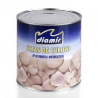 DIAM SETAS CULTIVO 3KG 6P