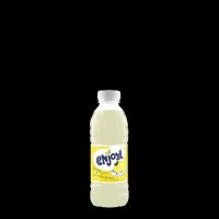 SAN ENJOY LIMÓN 0,5L. 12b.